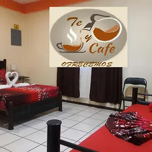 https://hostel-alme.allrivieramayahotels.com
